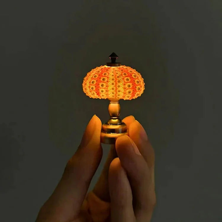 DIY Seeigel Nachtlicht für Kinder – Kreatives Bastelprojekt für individuelles Nachtlicht in Vintage-Stil, stimmungsvolles Atmosphärenlicht 0