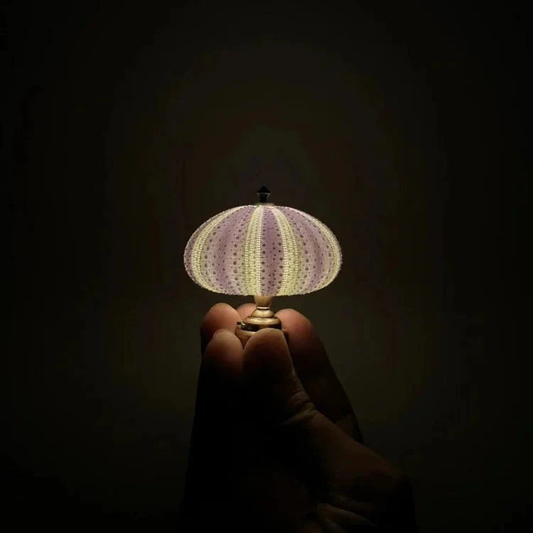 DIY Seeigel Nachtlicht für Kinder – Kreatives Bastelprojekt für individuelles Nachtlicht in Vintage-Stil, stimmungsvolles Atmosphärenlicht 4