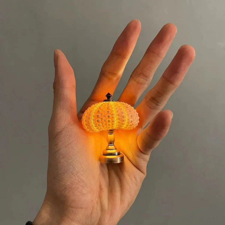 DIY Seeigel Nachtlicht für Kinder – Kreatives Bastelprojekt für individuelles Nachtlicht in Vintage-Stil, stimmungsvolles Atmosphärenlicht 5