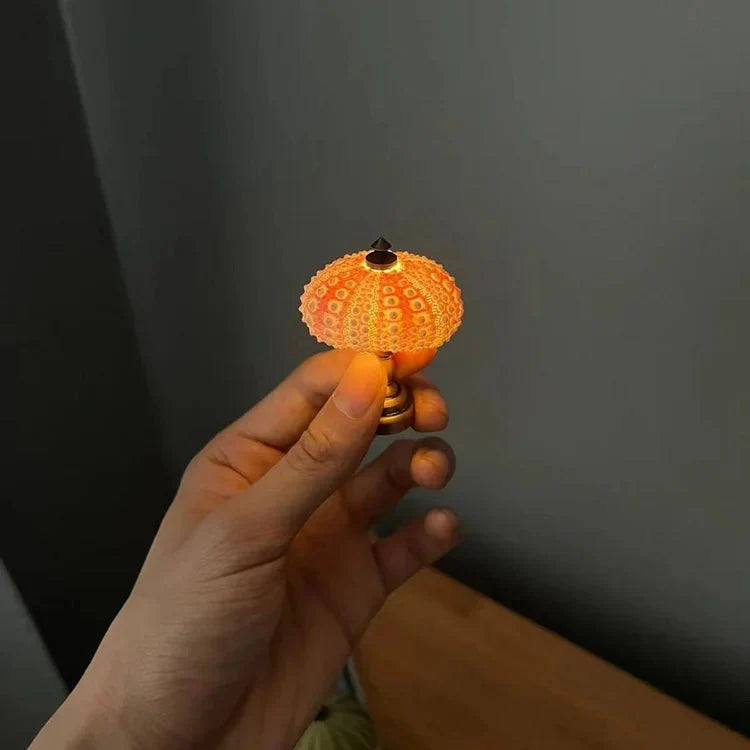 DIY Seeigel Nachtlicht für Kinder – Kreatives Bastelprojekt für individuelles Nachtlicht in Vintage-Stil, stimmungsvolles Atmosphärenlicht 6