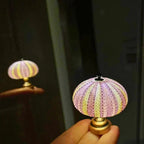 DIY Seeigel Nachtlicht für Kinder – Kreatives Bastelprojekt für individuelles Nachtlicht in Vintage-Stil, stimmungsvolles Atmosphärenlicht 7