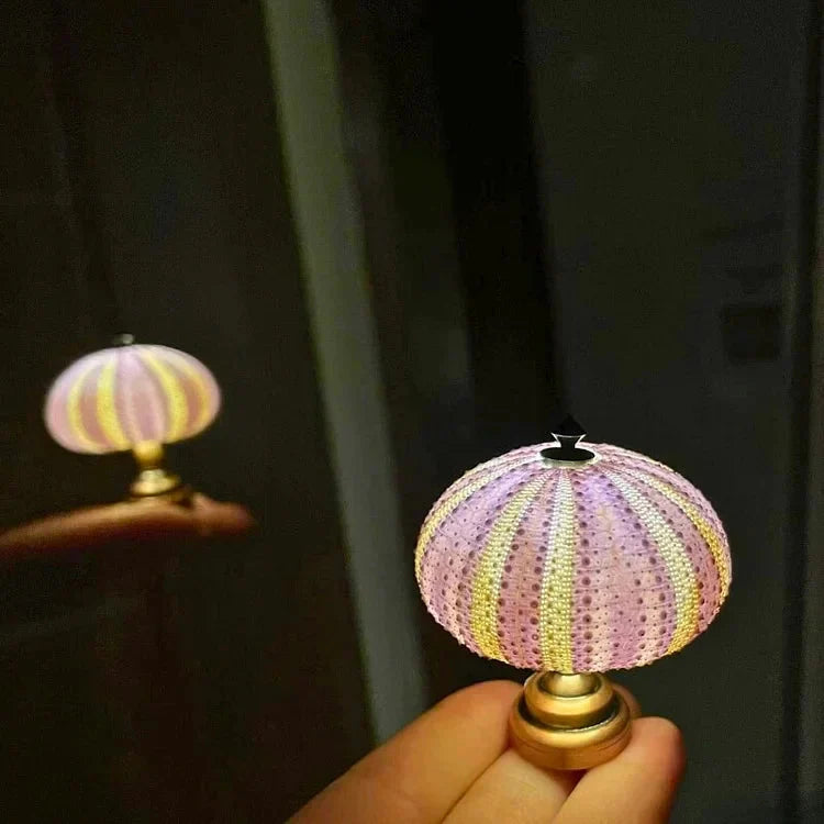 DIY Seeigel Nachtlicht für Kinder – Kreatives Bastelprojekt für individuelles Nachtlicht in Vintage-Stil, stimmungsvolles Atmosphärenlicht 7