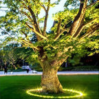 Elegante LED Außenstrahler für Bäume – Warmweißes Licht, Aluminium und Glas, Ideal für Garten und Terrasse, Verschiedene Größen verfügbar 6